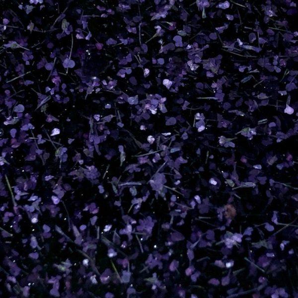 Crooz Гель для нарощування та дизайну Flower gel 4 00000025556 фото