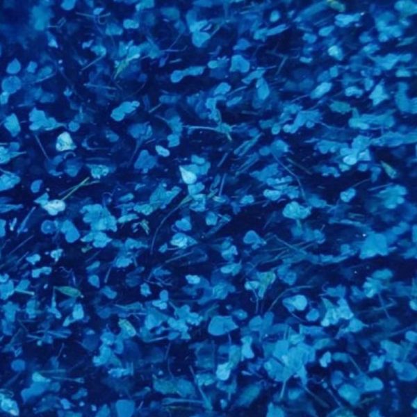 Crooz Гель для нарощування та дизайну Flower gel 6 00000025558 фото