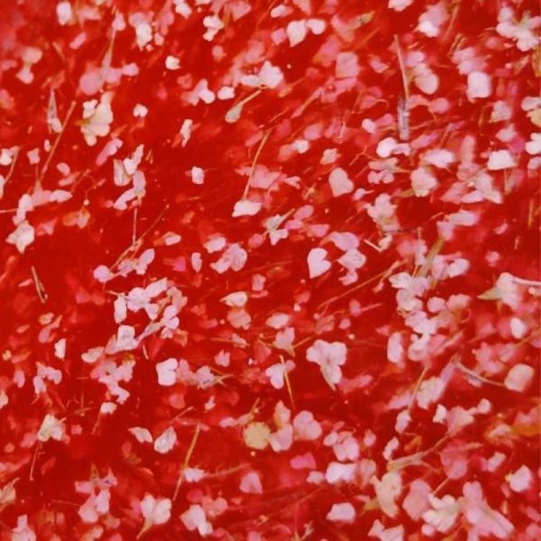 Crooz Гель для нарощування та дизайну Flower gel 7 00000025559 фото
