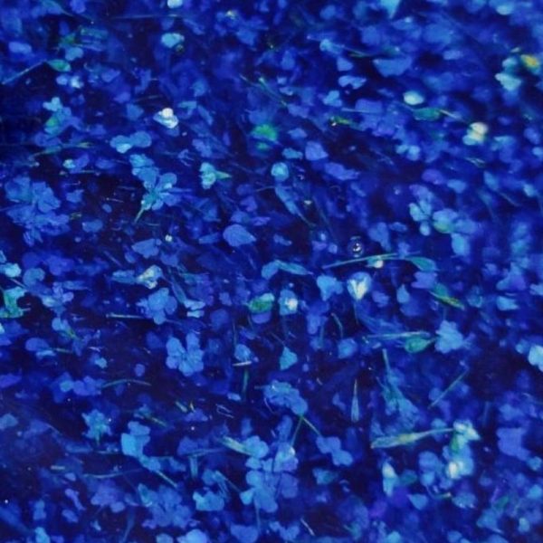 Crooz Гель для нарощування та дизайну Flower gel 8 00000025560 фото