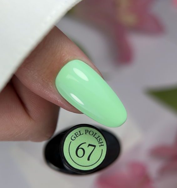 Crooz Гель лак №67