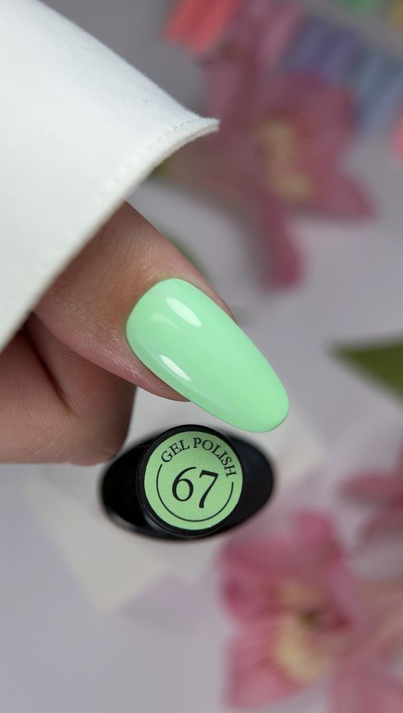 Crooz Гель лак №67