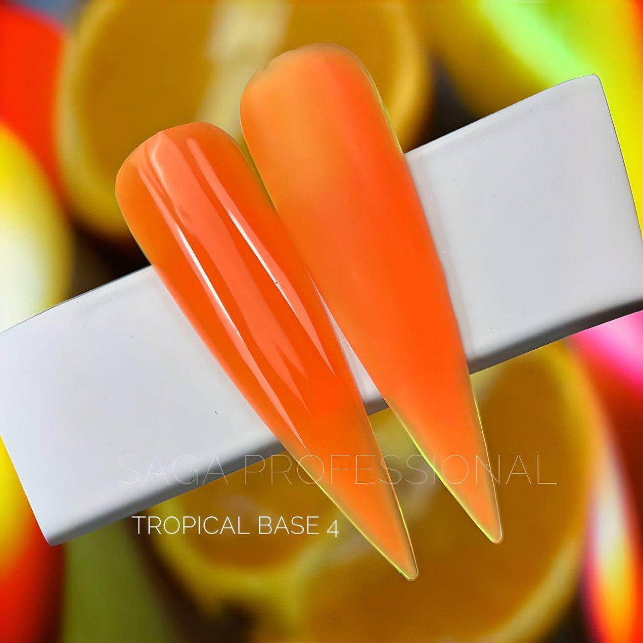 Saga Tropical Base №4