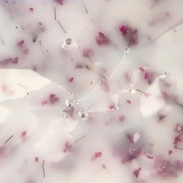 Liquid Flora Gel № 2