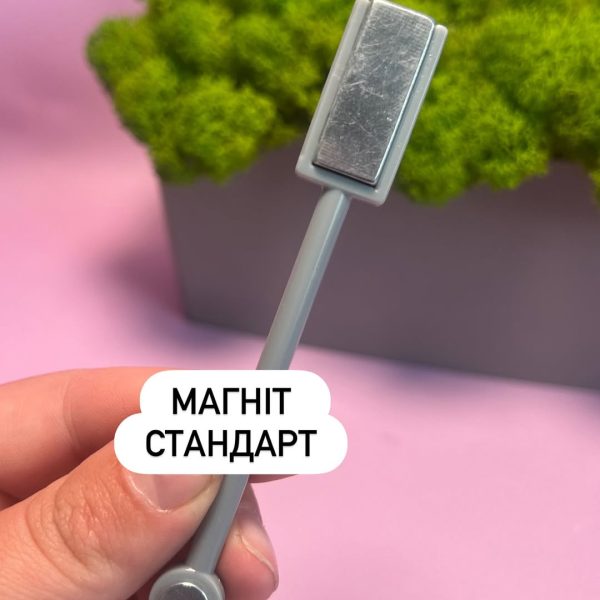 Магніт стандарт
